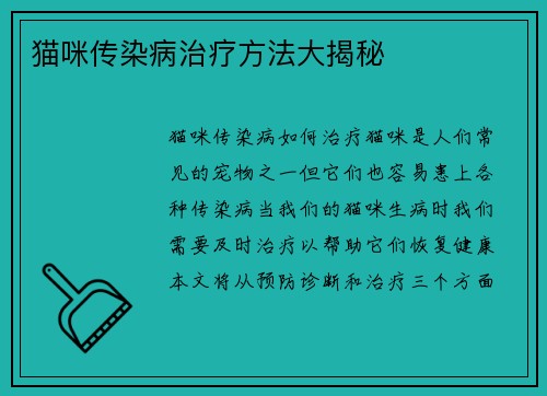 猫咪传染病治疗方法大揭秘